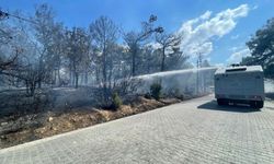 Çanakkale'deki orman yangını kontrol altına alındı