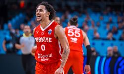 Shane Larkin Milli Takımı Bıraktı!