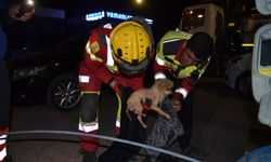 Konya'da kanalizasyon borusuna sıkışan köpek yavrusu kurtarıldı
