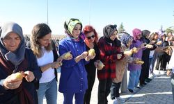 Nevşehir'de Patates Festivali
