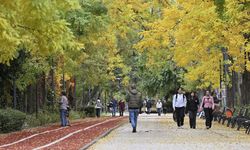 Sıcaklıklar mevsim normallerinin üzerine çıkıyor