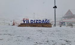 Sivas'ta kar yağışı etkili oldu