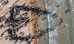 Tedavileri tamamlanan deniz kaplumbağaları denizle buluştu