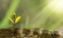Türkiye'de Bankaların İklim Hedefleri Sınırlı Kaldı