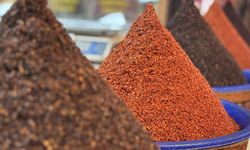 Türkiye'de pul biber ihracatı arttı!