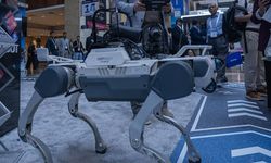 Yapay destekli robot köpekler sahada aktif olacak