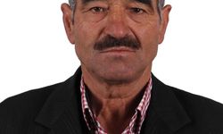 Adana'da korkutan yangın