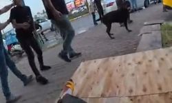 Ağızlıksız Dolaştırılan Köpek 2 Kişiyi Yaraladı