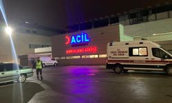 Ankara'da parkta baygın bulunan 2 kız çocuğundan acı haber