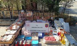 Ankara'da yüzlerce kilo bozuk et ele geçirildi