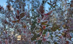 Ardahan'da hava eksi 10 dereceyi gördü