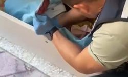 Aydın ve İzmir'de Suç Örgütü Operasyonu