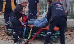 Aydın'da kamyonet uçuruma yuvarlandı