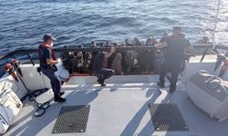 Bodrum'da kaçak göçmenler yakalandı