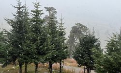 Bolu'ya kar yağdı