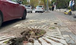 Bursa'da etkili olan lodos hayatı felç etti