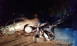 Bursa'da otomobili alevler sardı
