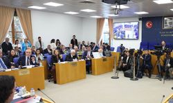 "Bütçemiz refahı toplumun tüm kesimlerine yaymayı hedeflemektedir"