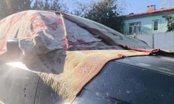 Doğu Anadolu'da sıcaklıklar sıfırın altına kadar düştü