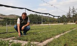 Eskişehir Orman Fidanlığı üretim kapasitesini artırdı
