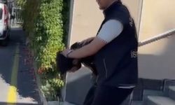 Fatih'te kasa hırsızlığı