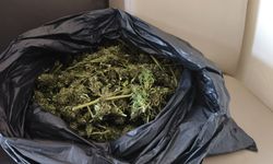 Güvercin kümesine gizlenmiş uyuşturucu bulundu
