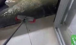 İzmir ve Manisa'da sağanak yağış