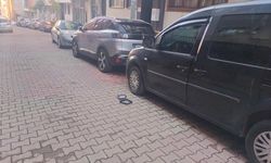 Kağıthane'de araçların aynalarını yumrukladı