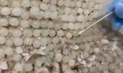 Kayseri'de gelinlikten uyuşturucu çıktı