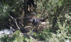 Kazadan 26 saat sonra bulunan genç, yaşama 110 gün tutunabildi