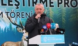 Kocaeli'de kızılgeyikler doğaya salındı