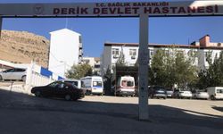 Mardin'de otomobil durağa daldı: 4 yaralı
