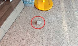 Marketin camını kırıp içeri girdi