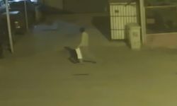 Mersin'den araçlar kundalandı