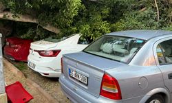 Otomobillerin üzerine devrilen ağaç hasara neden oldu