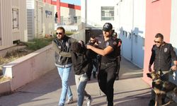 Suç örgütü ‘Bayğaralar'a yönelik yapılan operasyonda 96 kişi tutuklandı