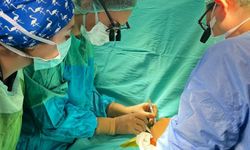 Tatile gelen aile şifayı Muğla'da buldu