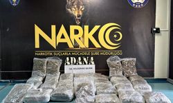 TIR'dan 55 kilo skunk çıktı