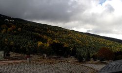 Uludağ beyaza büründü