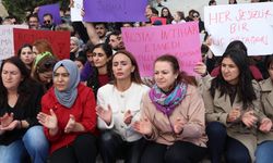 Van'da kadınlardan Rojin için basın açıklaması