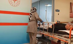 Yediği mantardan zehirlendi