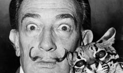 Tuvalinde hayatı ve sanatı buluşturan dahi sanatçı: Salvador Dali