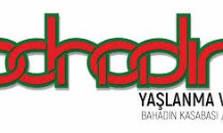 Dünya Yaşlılar Günü Bahadın’da Unutulmadı