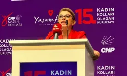 CHP’li Asu Kaya, Bakan Işıkhan’a ne sordu?