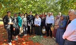 Osmaniye'de 'Kadın Çiftçiler Günü' kutlandı