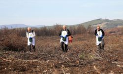 'Alev savaşçıları' fidan dikimi için sahada