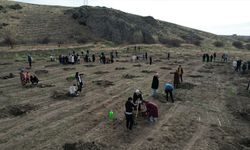 Ankara Çubuk'ta öğrencilerden fidan dikimi etkinliği