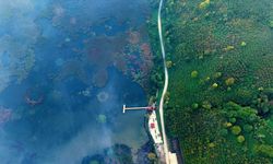 Efteni Kuş Cenneti'nde sonbahar renkleriyle sis göz alıcı manzara oluşturdu