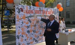 Eskişehir'de 'Kadına Şiddete Karşı Sen De Dur De! El İzi' etkinliği