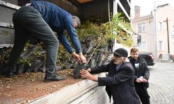 Konya'da Çiftçiler Kuraklığa Karşı Sumak Üretiyor